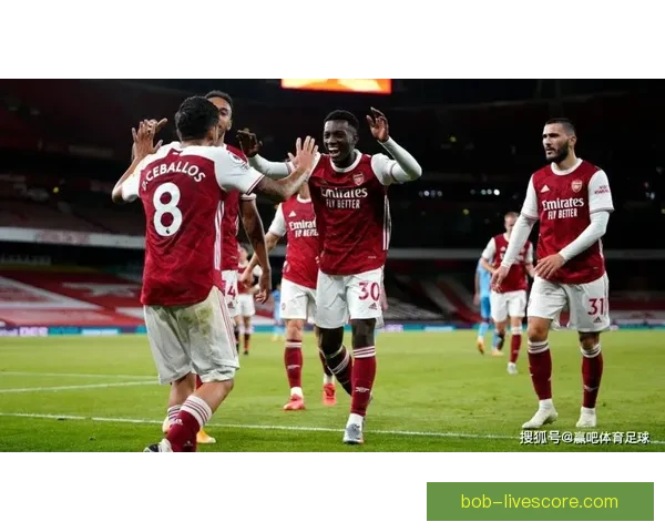 全面分析足球竞猜平台的运营模式与市场前景助您轻松赢得每一场竞猜游戏